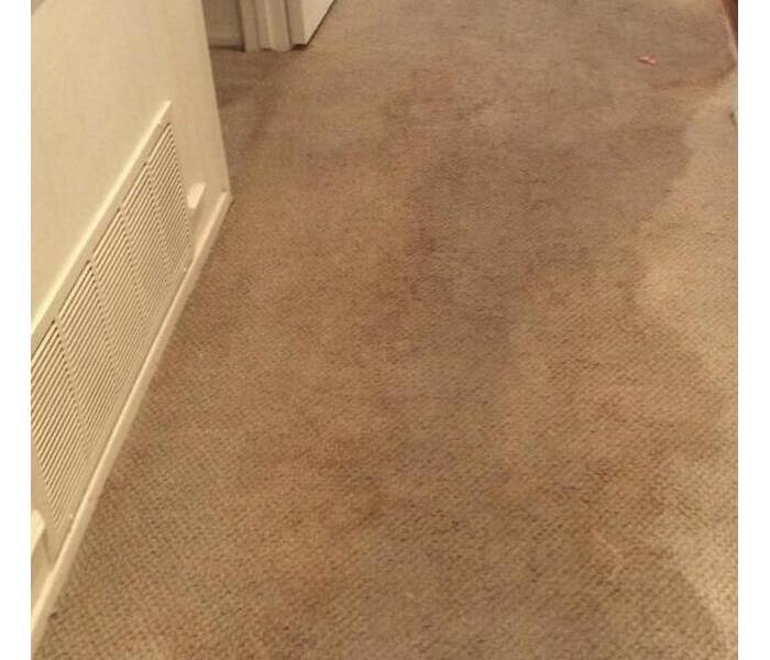 Wet carpet along the hallway floor. 